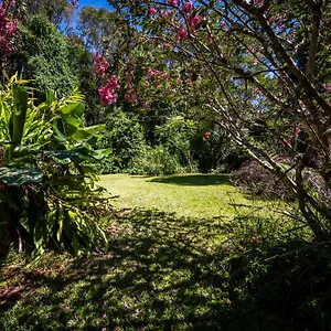 Tranquil Rainforest Apartment Kuranda